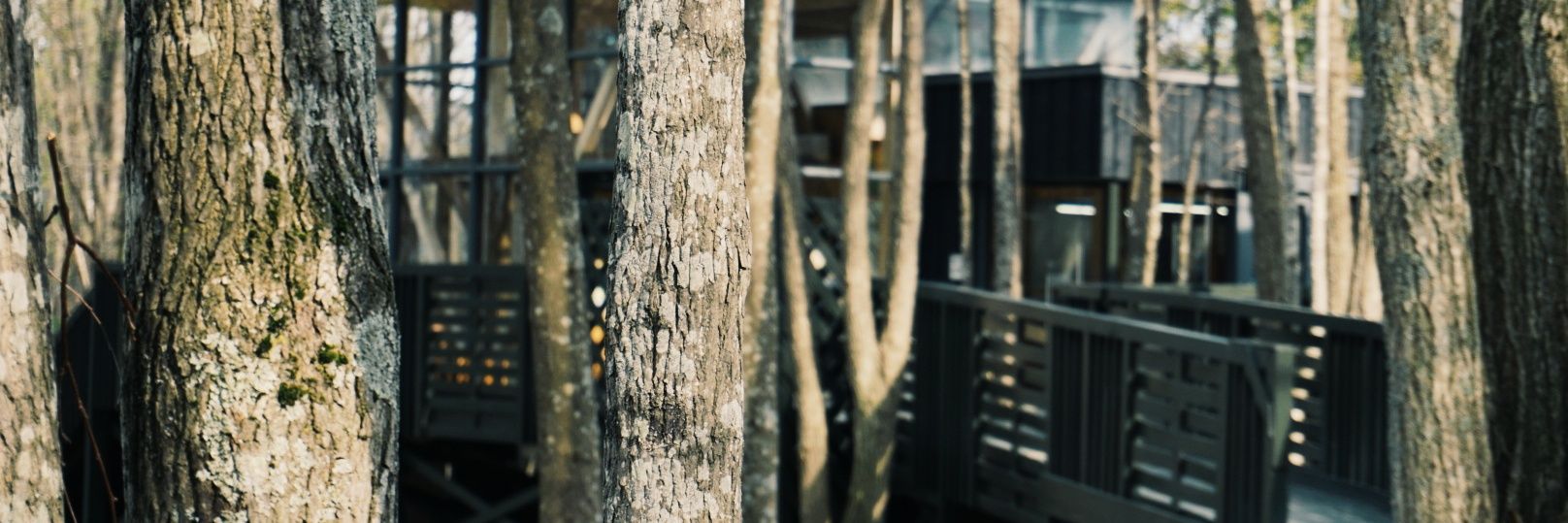 clayanthonny's profile banner image