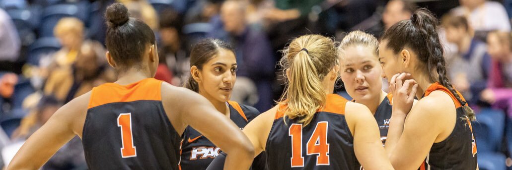 Kaylin Randhawa banner