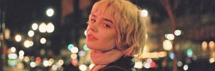 lana banner