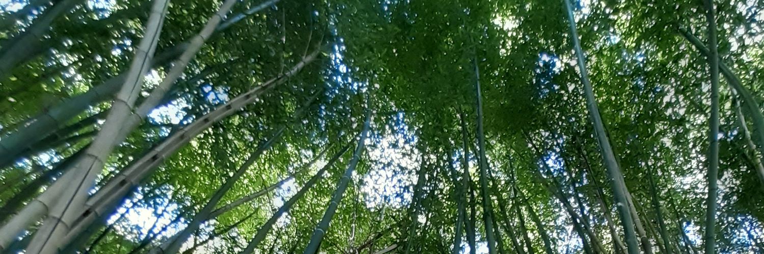 rodedamian's profile banner image