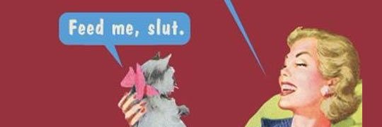 WarwickKatt's profile banner image