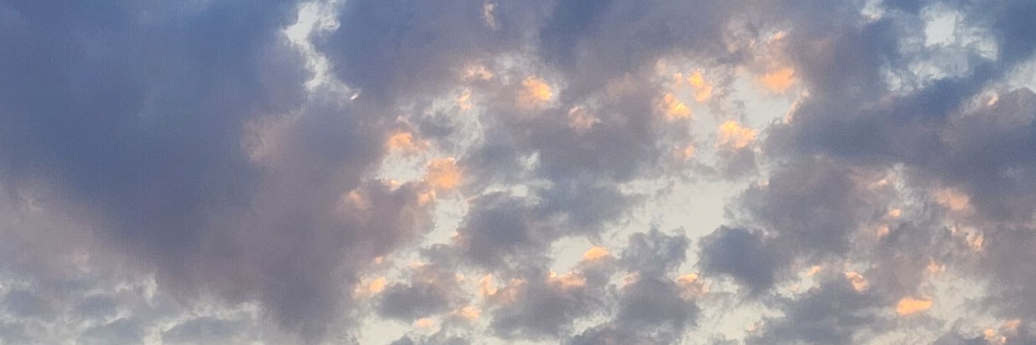 دختر موفاسا banner