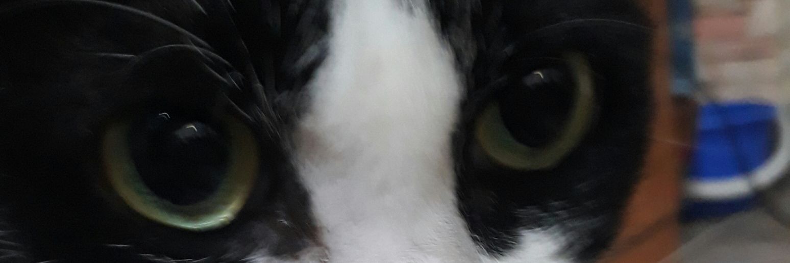 libingyuan2's profile banner image