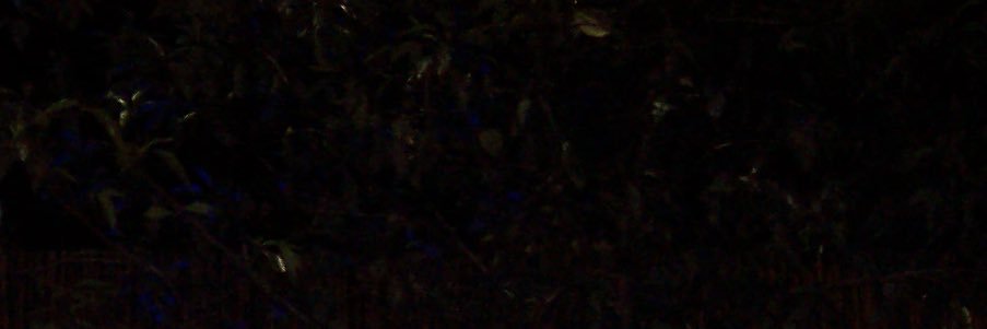 Enzo Ault banner