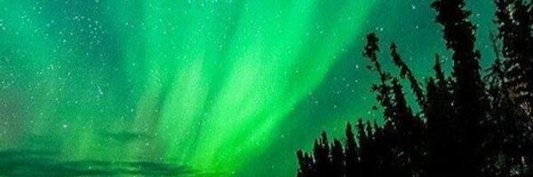 MrsDarcy119 Profile Banner