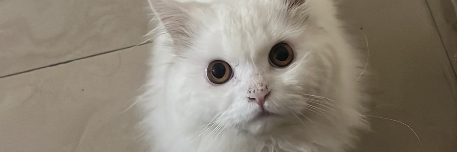 theunknownlord's profile banner image