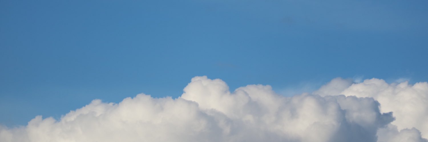 りく🍊 banner