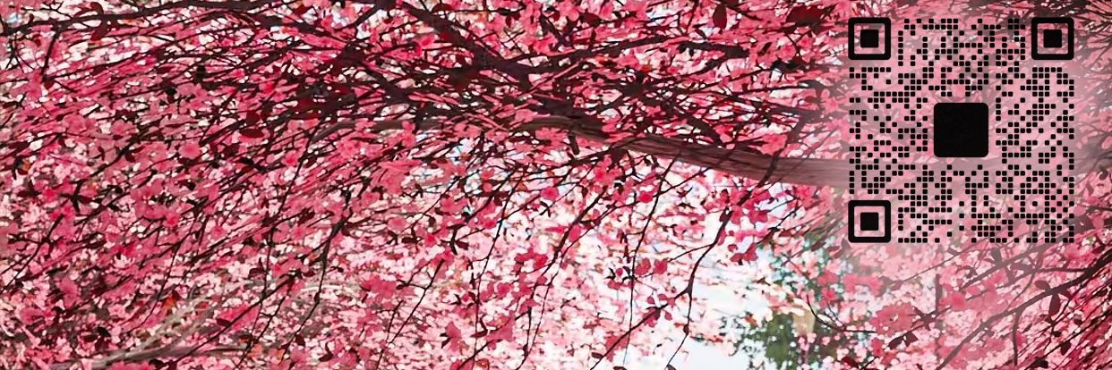 satoryo1234's profile banner image