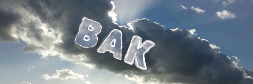 BAKSITE's profile banner image