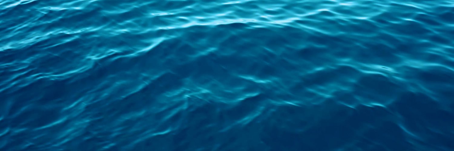 SaraElTurky's profile banner image