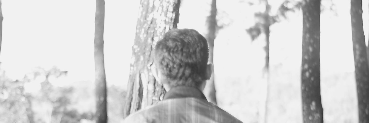 Sangajidf's profile banner image