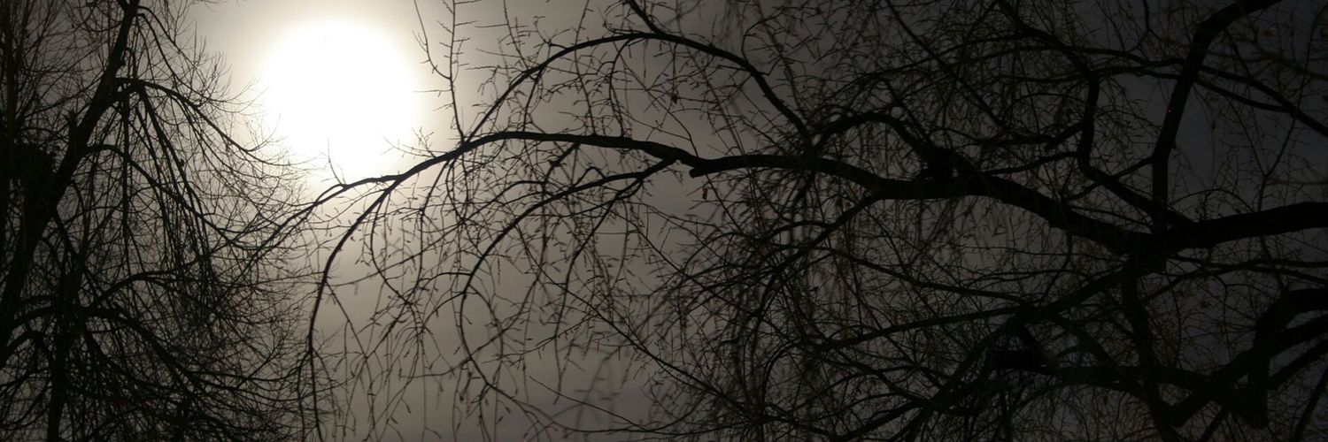 Shadowinthedark banner