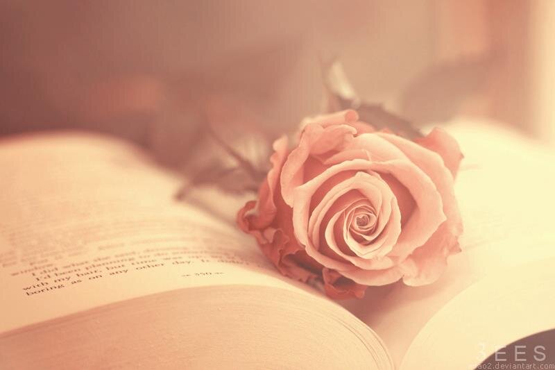 moooon14n's profile banner image