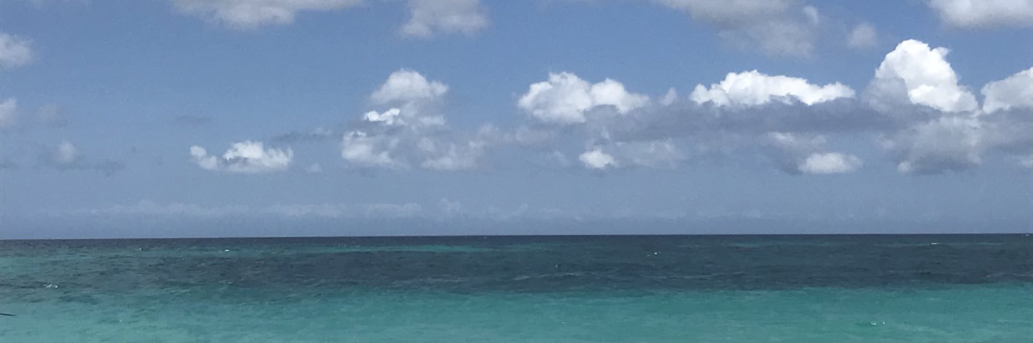 nowitscalvin's profile banner image