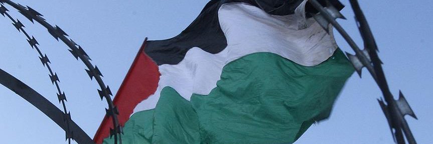 LINK Wizkid 🇵🇸 banner
