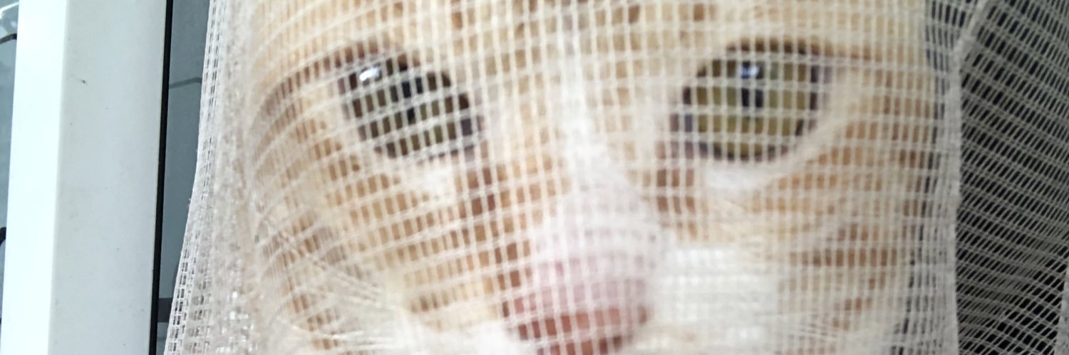 andrynd's profile banner image
