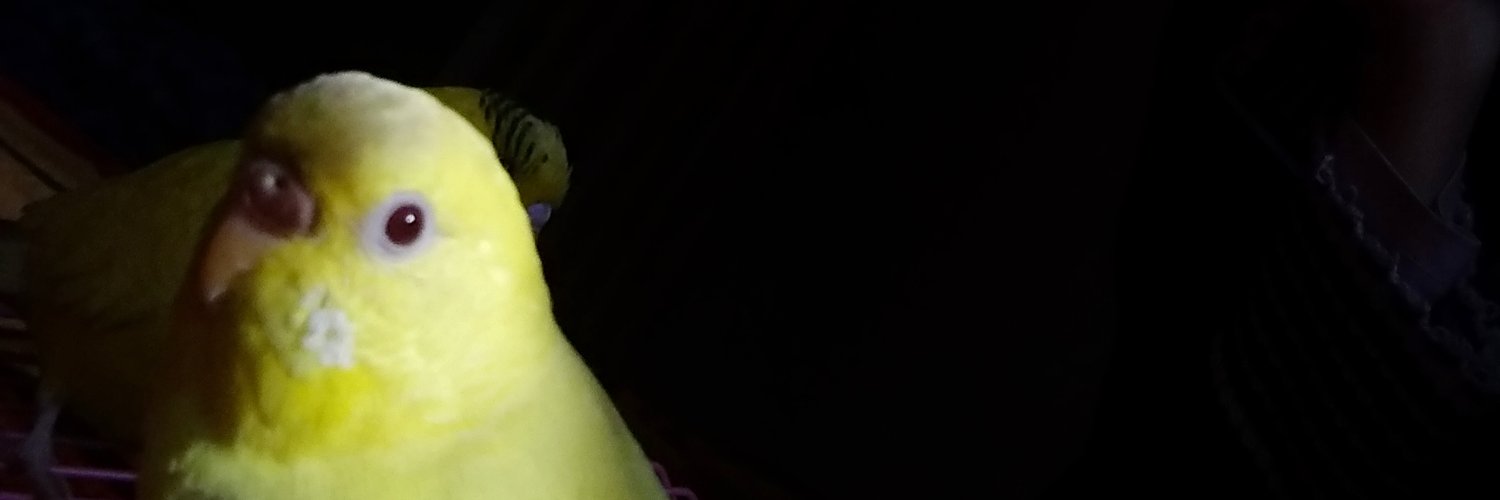 gemshubhangi's profile banner image