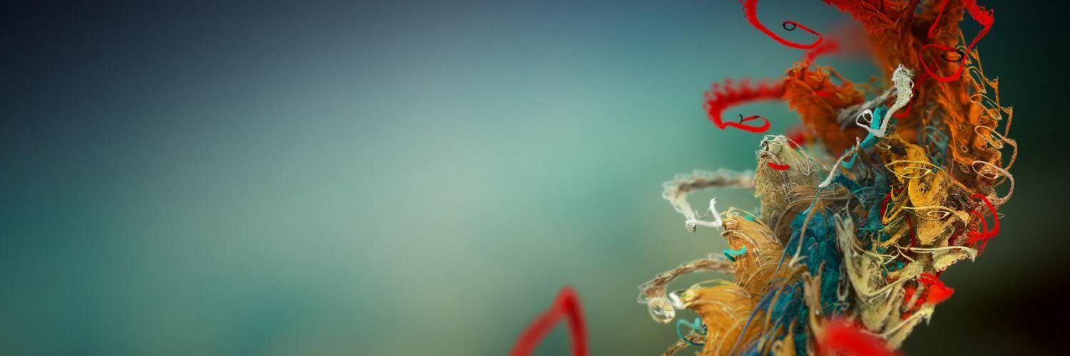 febbep's profile banner image