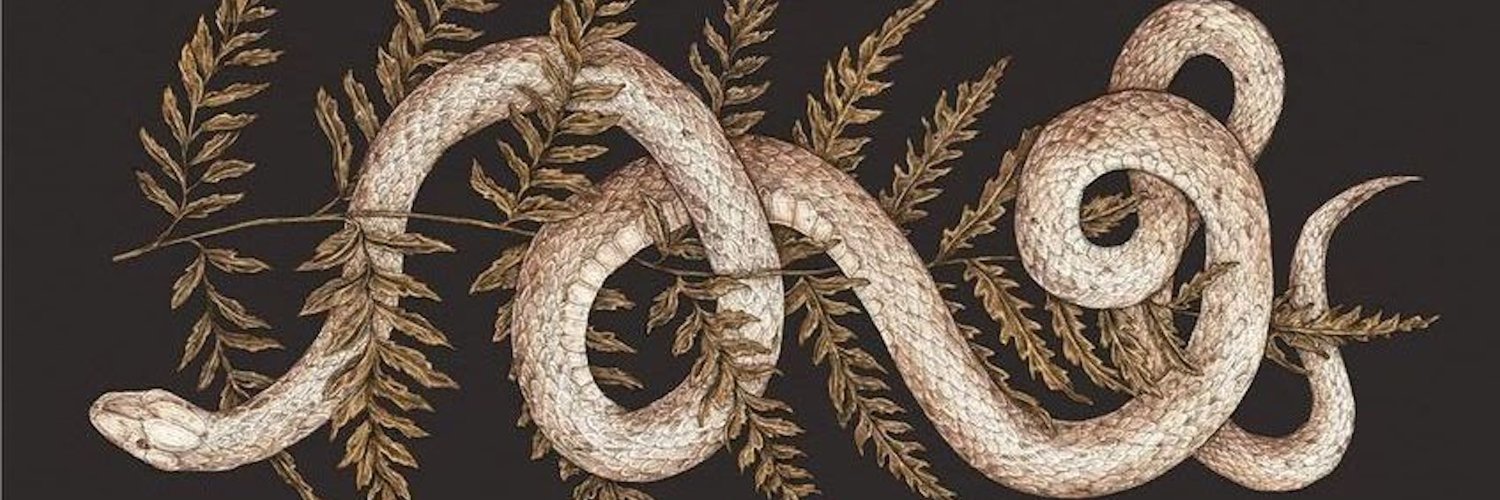 mhewett555's profile banner image