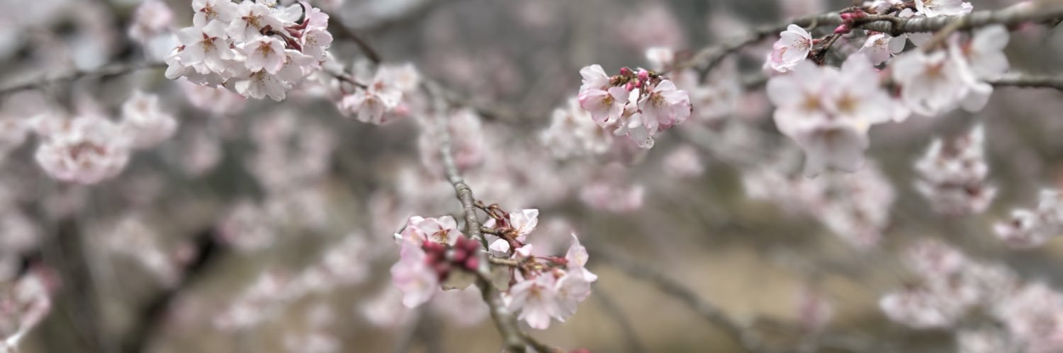 🤮A.(あめゆき)🐏🧡 banner