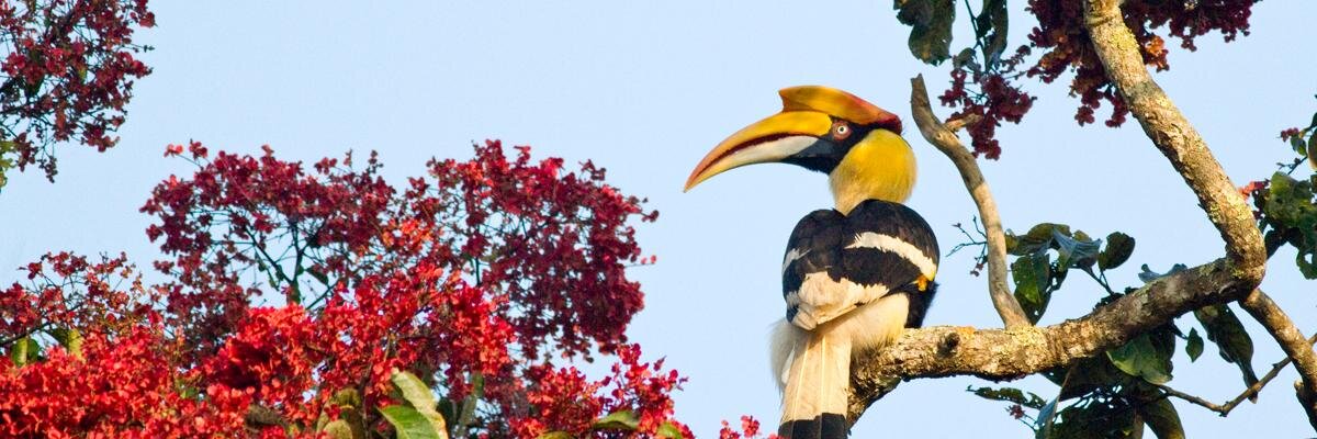 hari4ever's profile banner image