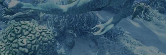 merfolklegacy's profile banner image