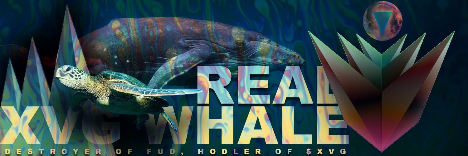 XVGWhaIe banner