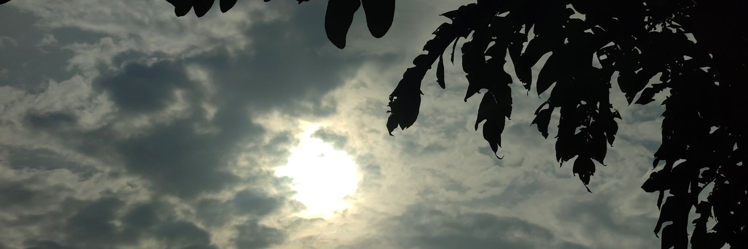 JunJinz's profile banner image