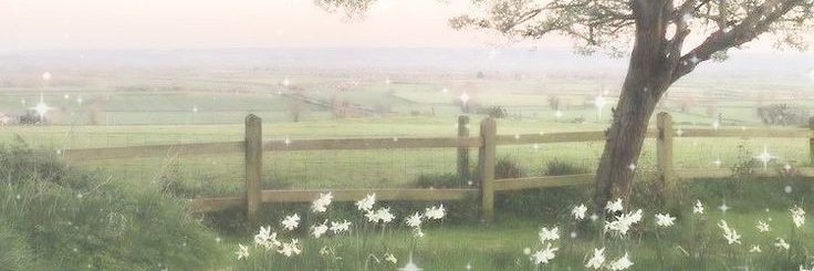 ♡ banner