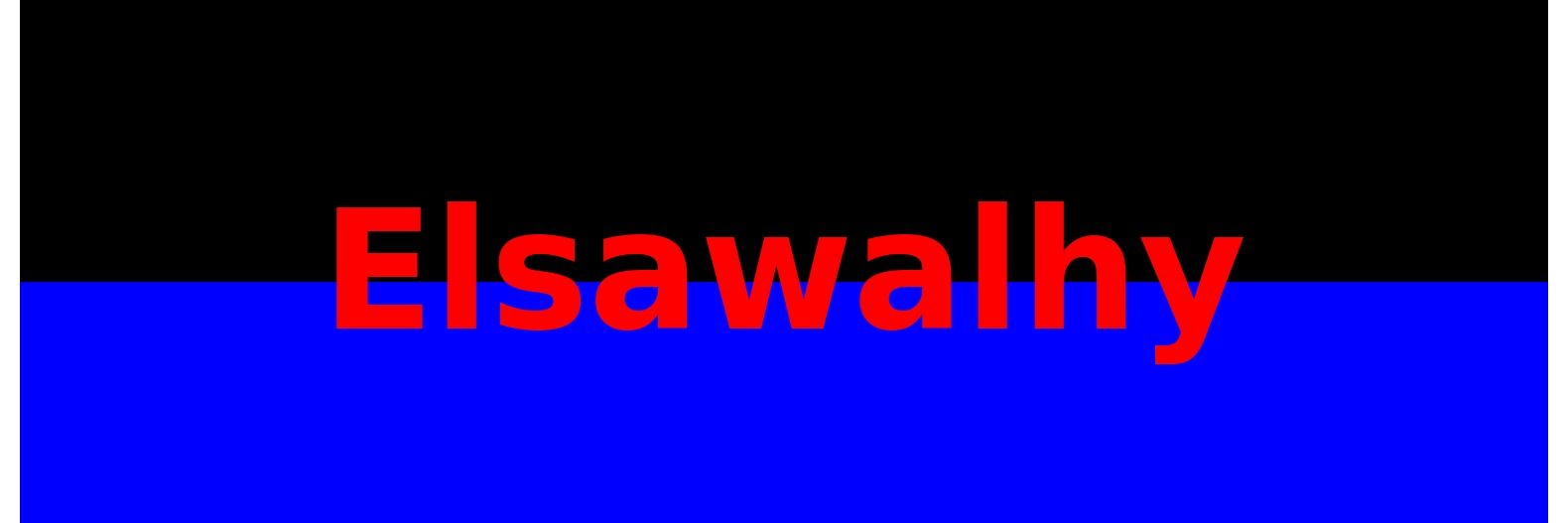 Mahmoud ElsaWalhy🇪🇬🇵🇸 banner