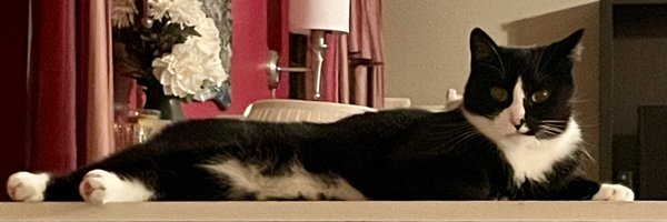 LauraLNagle Profile Banner