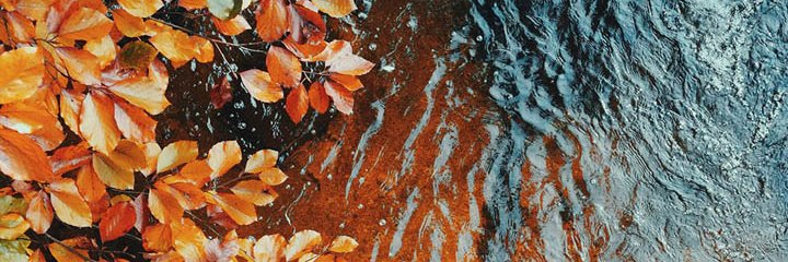 AZameek's profile banner image