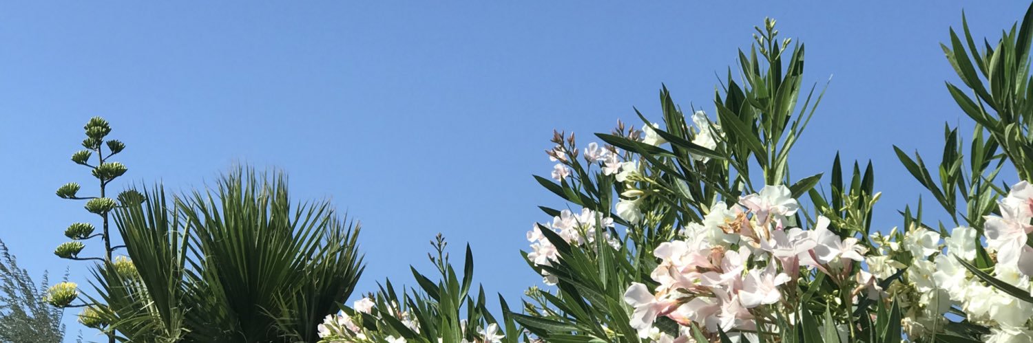 Elzu12's profile banner image