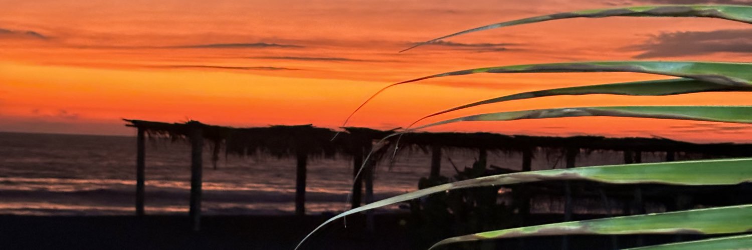 Gerhard_t's profile banner image