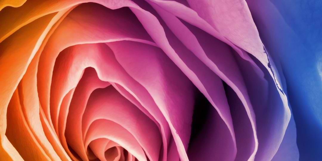 mine_neth's profile banner image