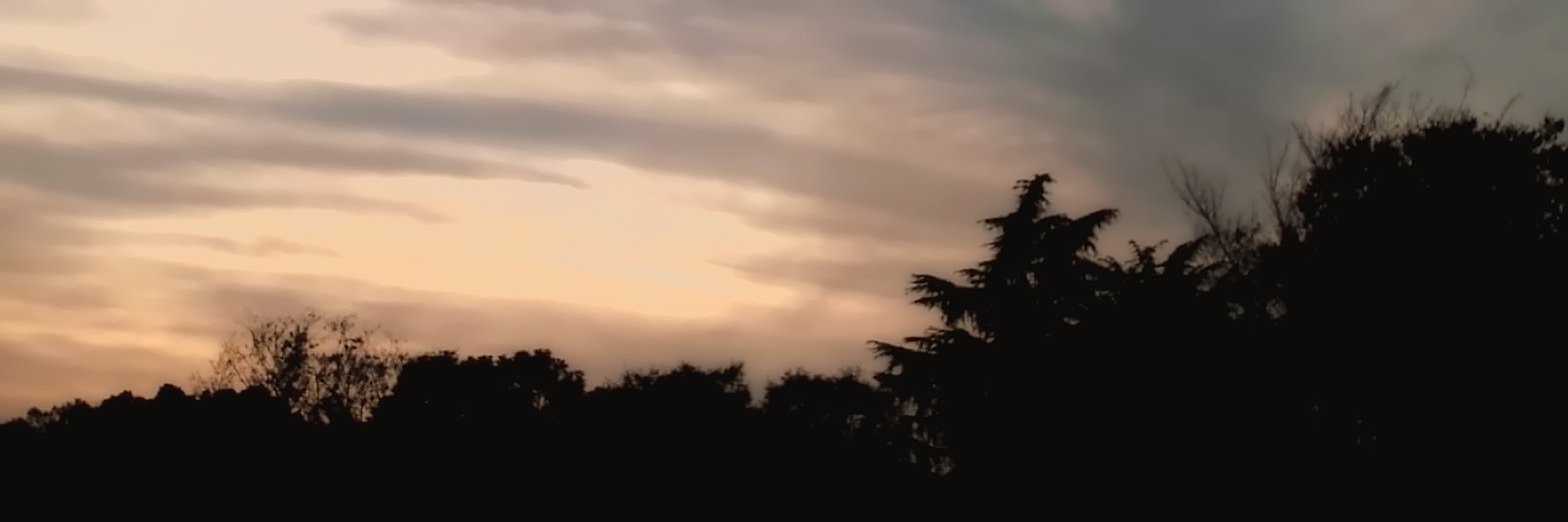 sesshow's profile banner image