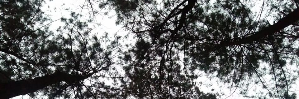 jiweeji's profile banner image