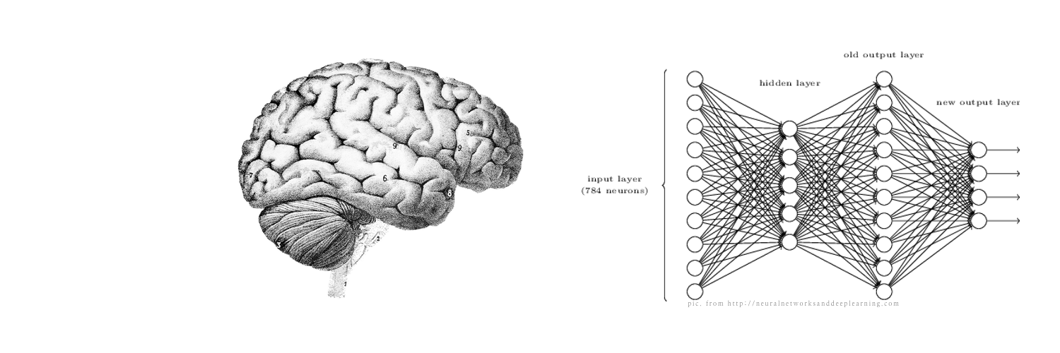 Luca Perugini banner