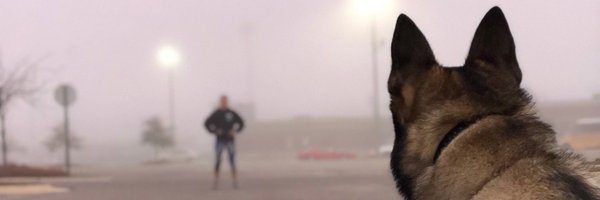 K9Apart Profile Banner