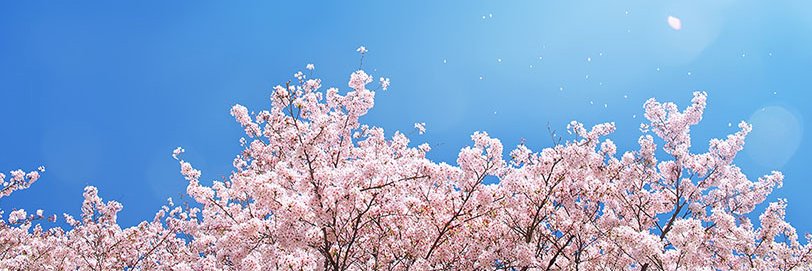 00lux's profile banner image