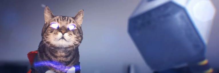 Kucingvictory's profile banner image