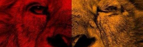 ADNANYAGCI's profile banner image