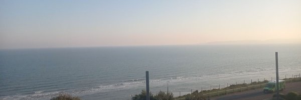 sappysealseth Profile Banner