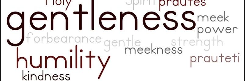 anne_timbs's profile banner image