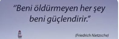 kayıpşapkalımeloooo🐾🐾🐾 banner