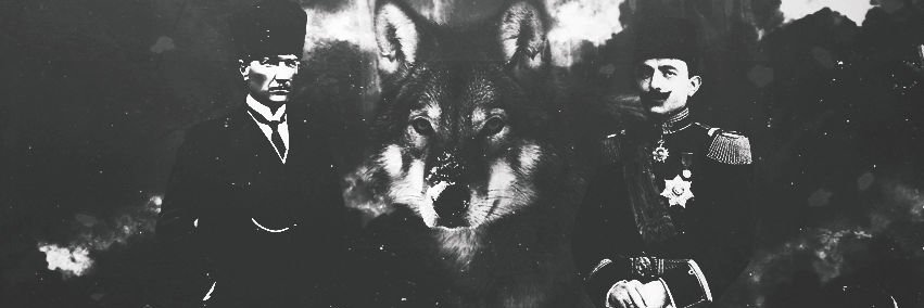 doguyilmaaz's profile banner image