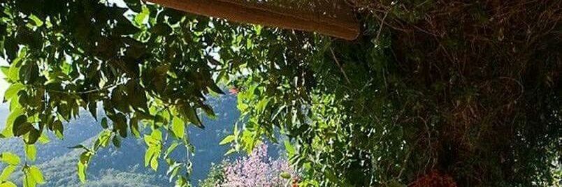 ashrafshehawy's profile banner image