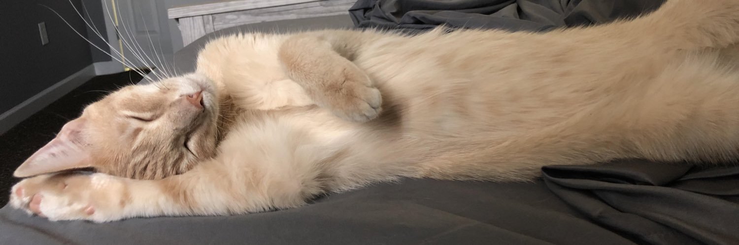 alliiiee's profile banner image