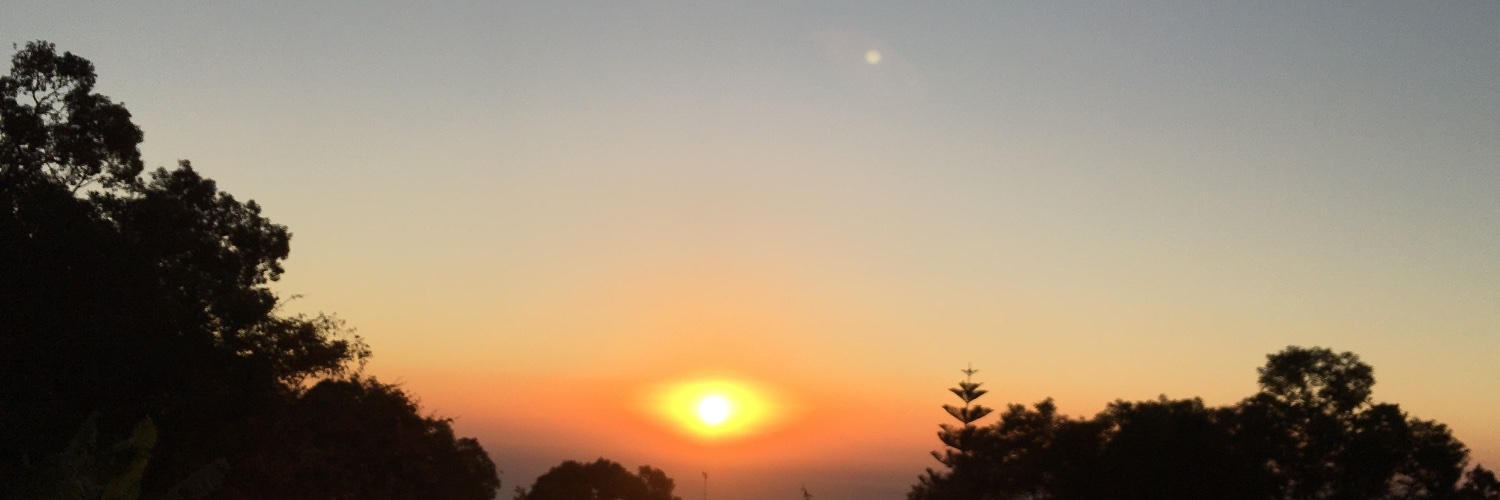 OldEyesSapling's profile banner image