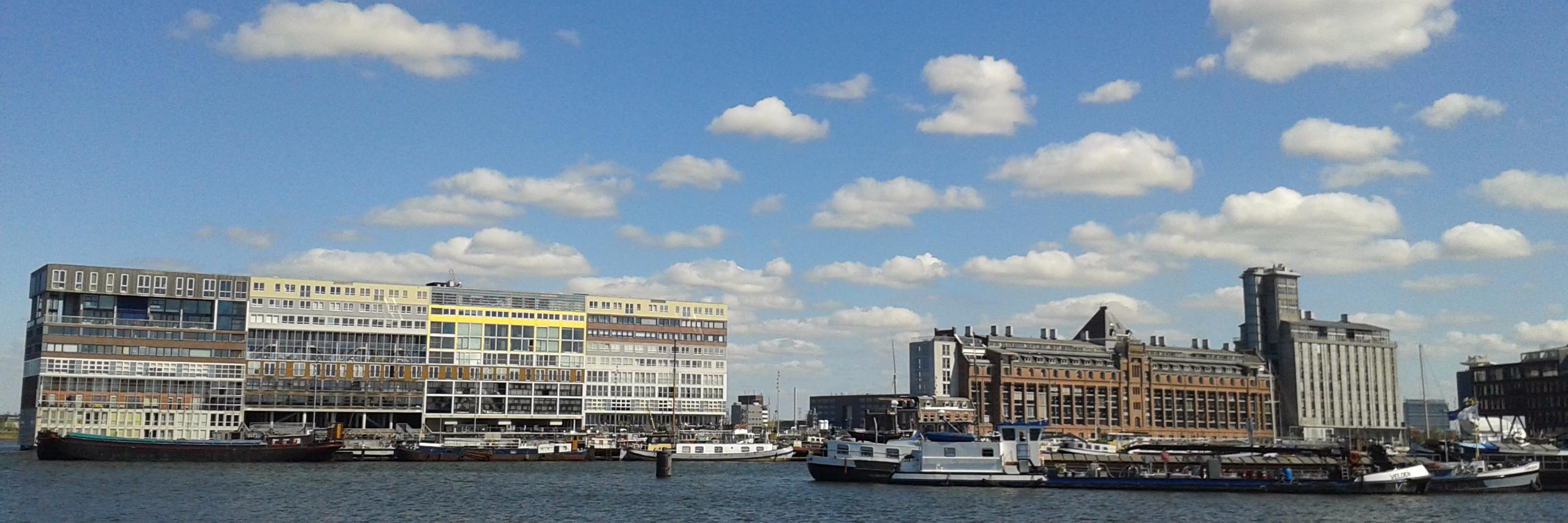 Mara van Waveren banner
